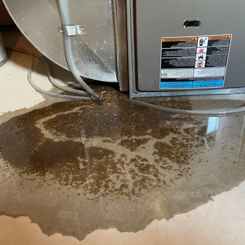 Pipe Burst and Leak Restoration in Newburgh, NY
